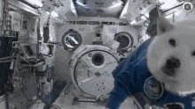 #NerdeadasCósmicas: ¿por qué los astronautas flotan en el espacio?